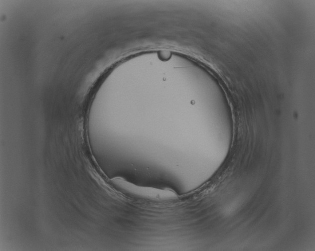 X0000072961503200608181418