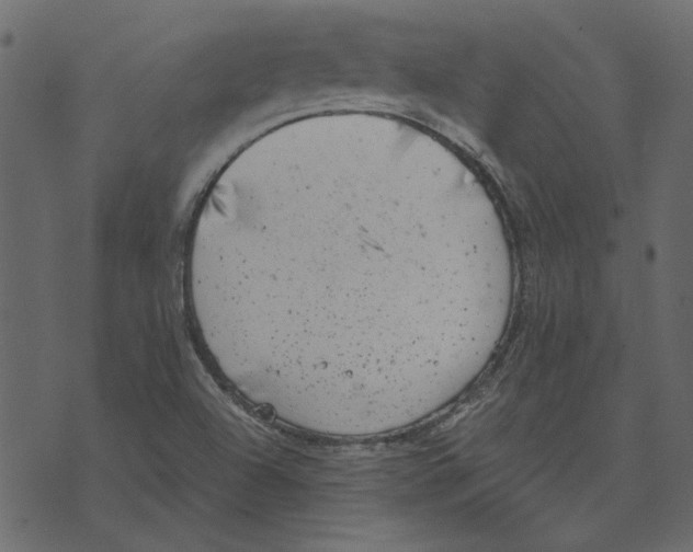 X0000072961504200608181418