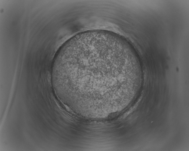 X0000072961505200608181418