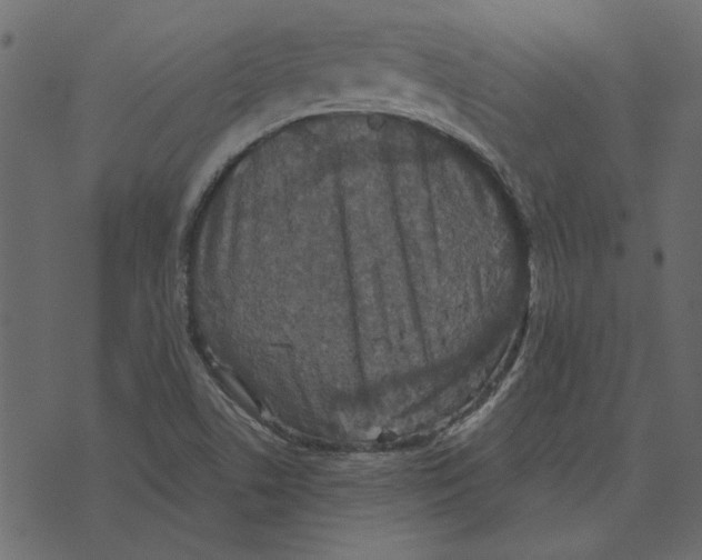 X0000072961506200608181418