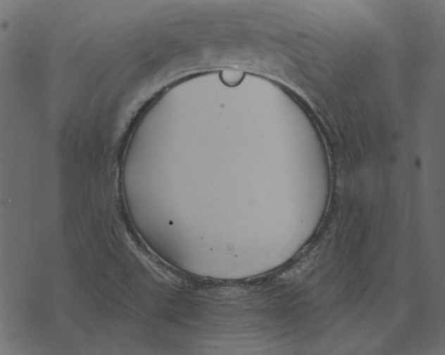 X0000072961507200608181418