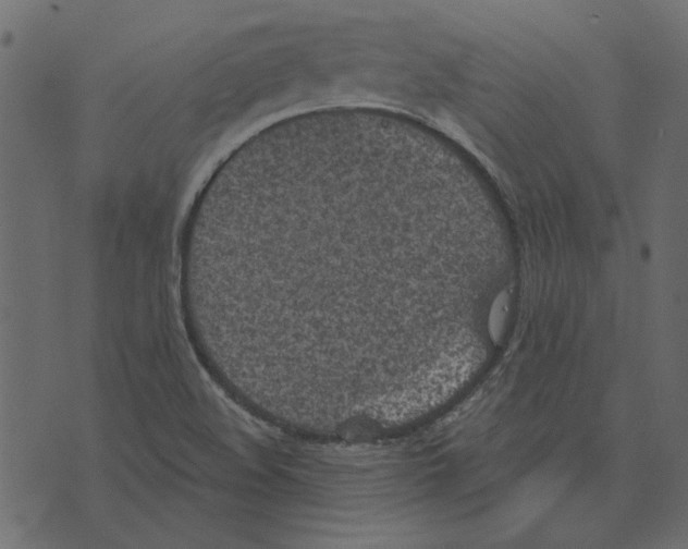 X0000072961508200608181418