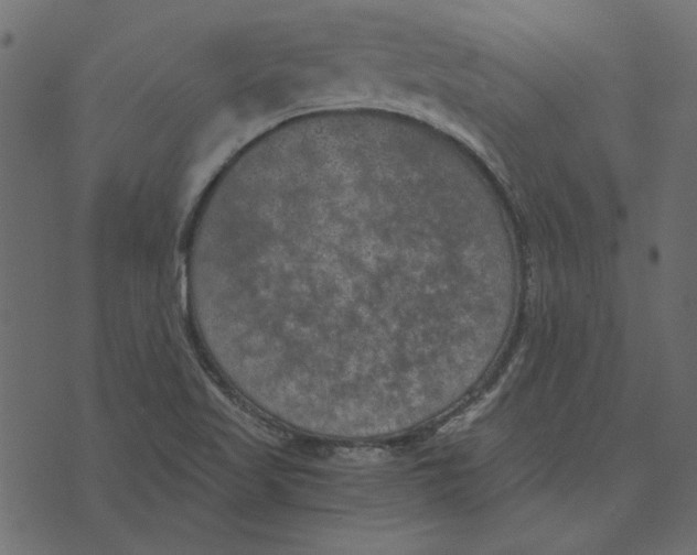 X0000072961509200608181418