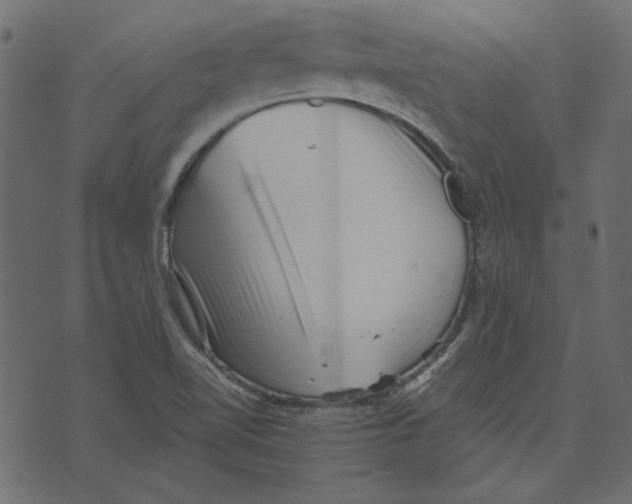 X0000072961510200608181418