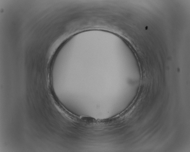 X0000072961511200608181418