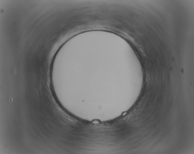 X0000072961512200608181418