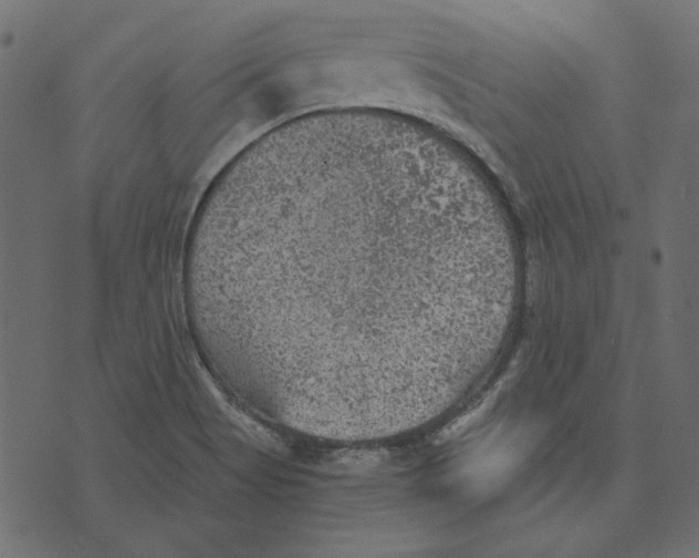 X0000072961513200608181418