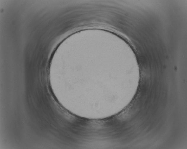 X0000072961514200608181418