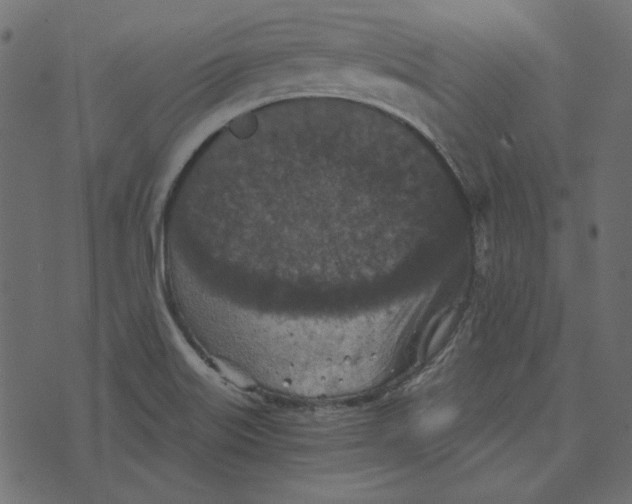 X0000072961515200608181418