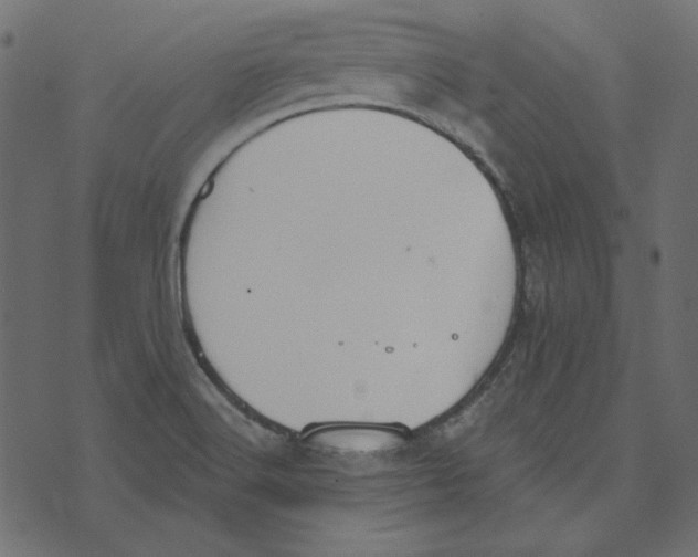 X0000072961516200608181418