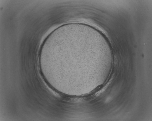 X0000072961517200608181418