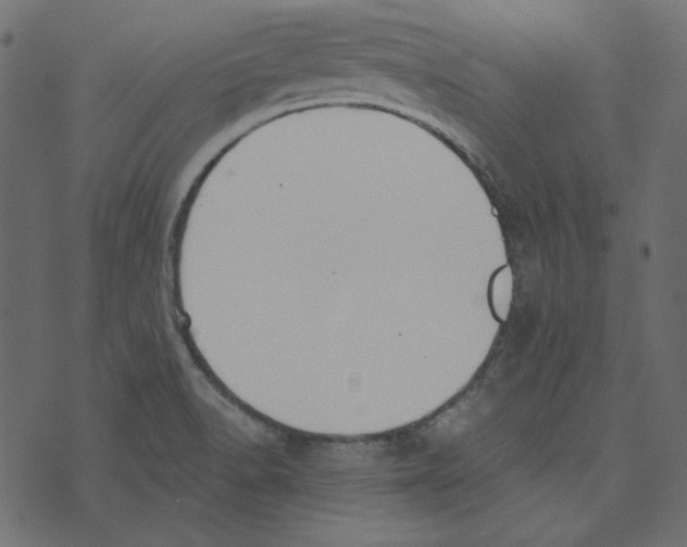 X0000072961518200608181418