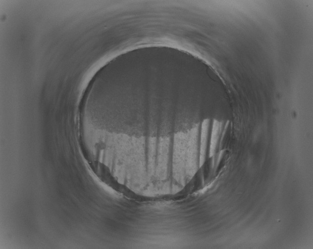 X0000072961519200608181418