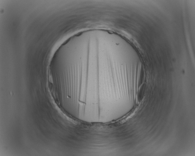 X0000072961520200608181418