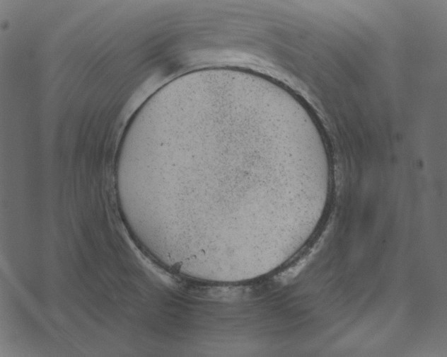 X0000072961521200608181418