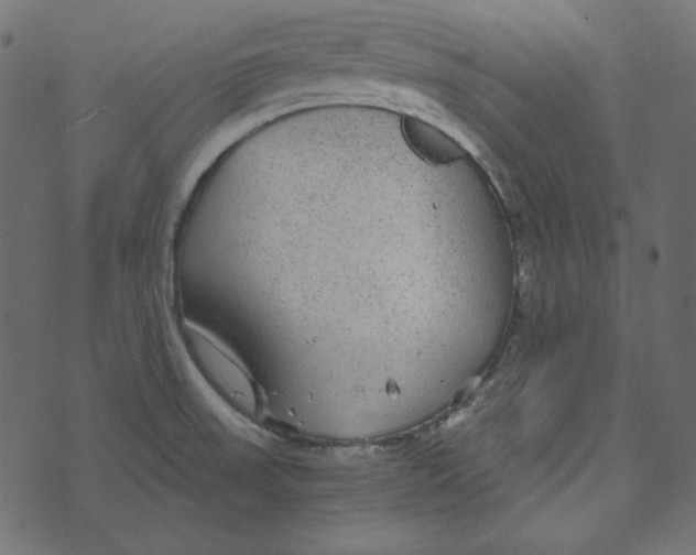 X0000072961523200608181418