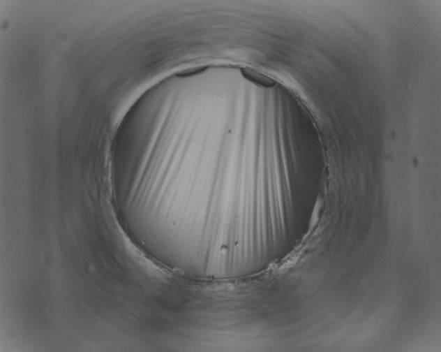 X0000072961524200608181418