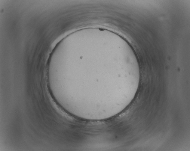 X0000072961526200608181418