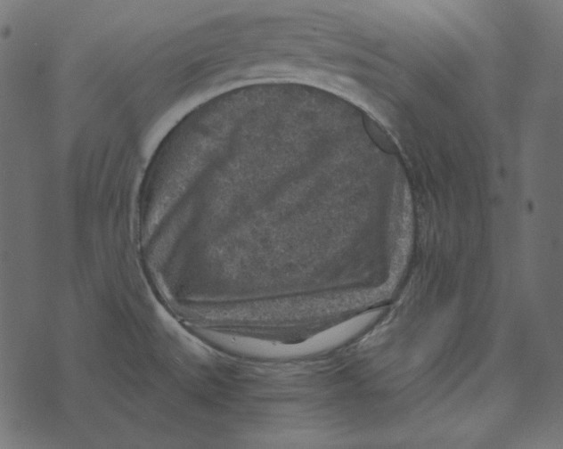 X0000072961527200608181418