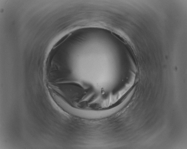 X0000072961528200608181418