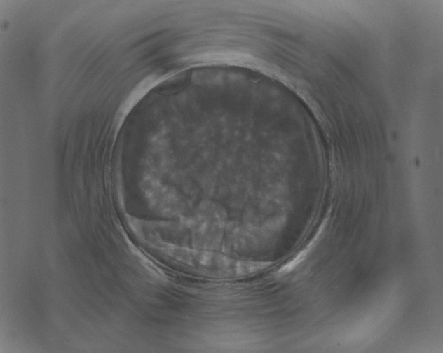 X0000072961529200608181418