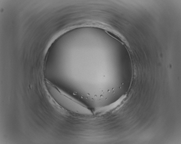 X0000072961530200608181419