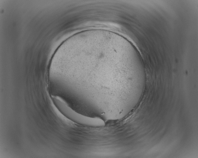 X0000072961531200608181419