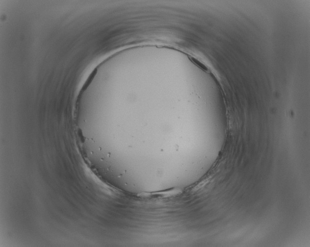 X0000072961532200608181419