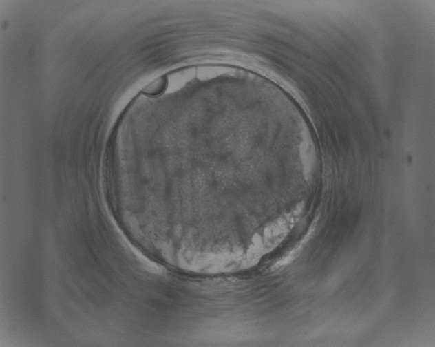 X0000072961533200608181419