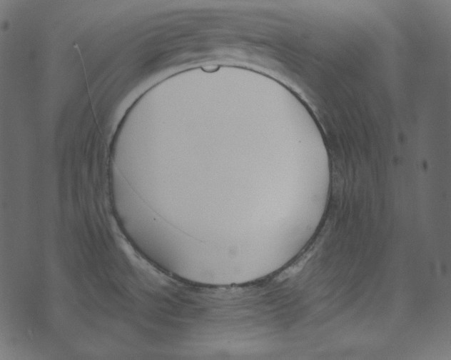 X0000072961534200608181419