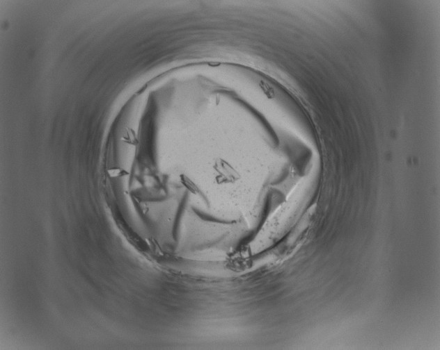 X0000072961536200608181419