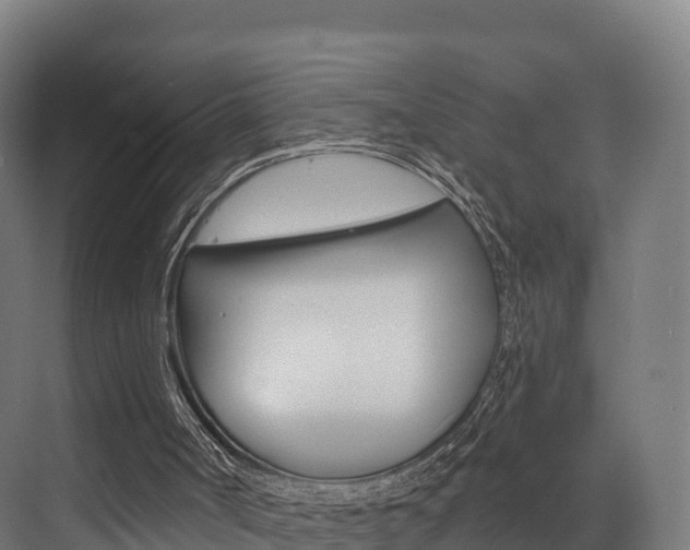 X0000072970002200607211043