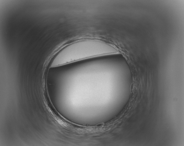 X0000072970005200607211042