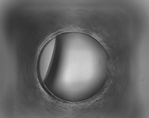 X0000072970007200607211042