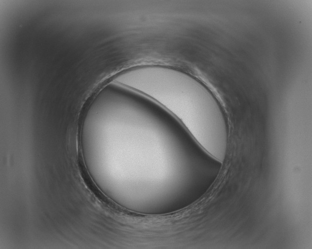 X0000072970011200607211042