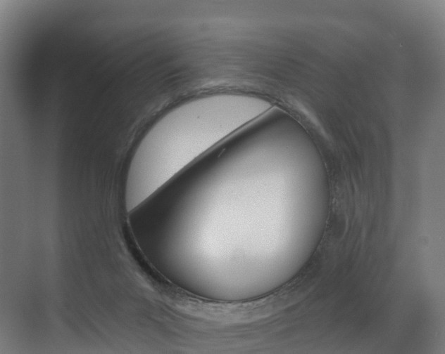 X0000072970023200607211042