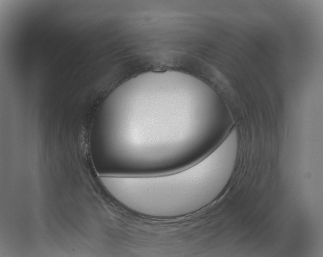 X0000072970029200607211042