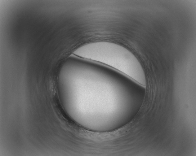 X0000072970031200607211042