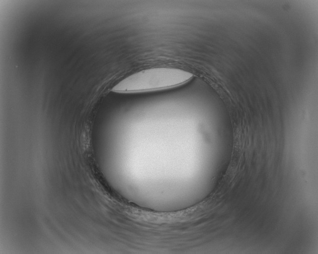 X0000072970043200607211042