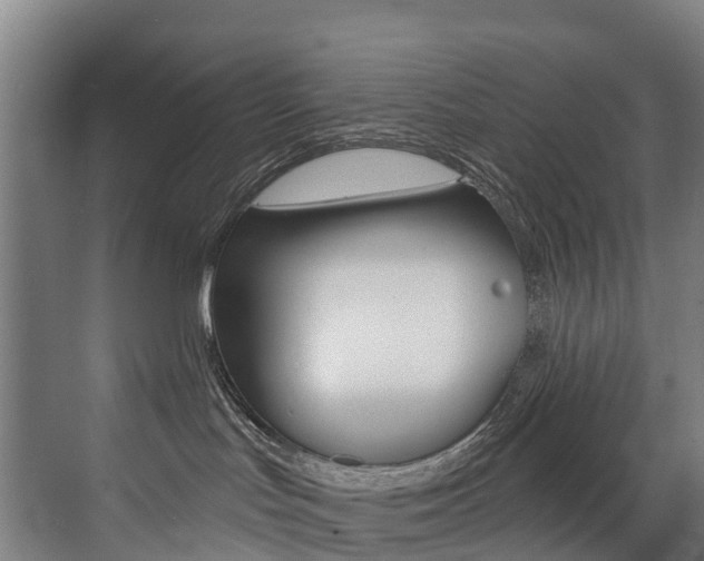 X0000072970047200607211042
