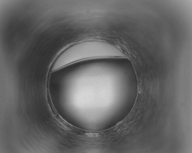 X0000072970052200607211041