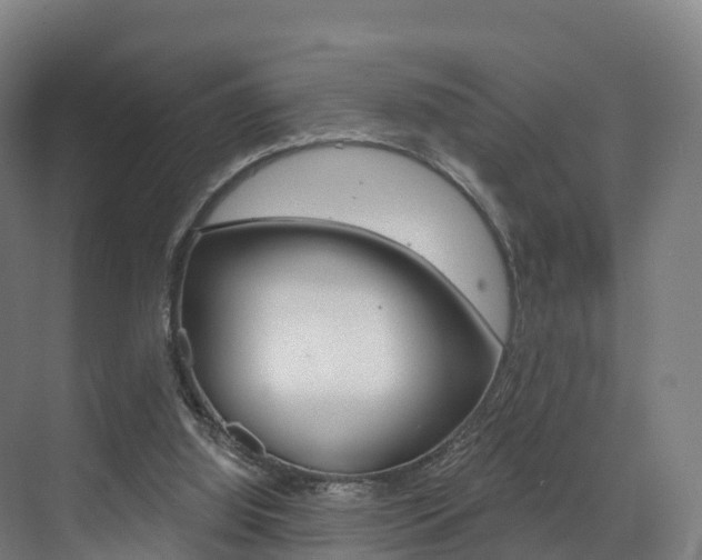 X0000072970060200607211041