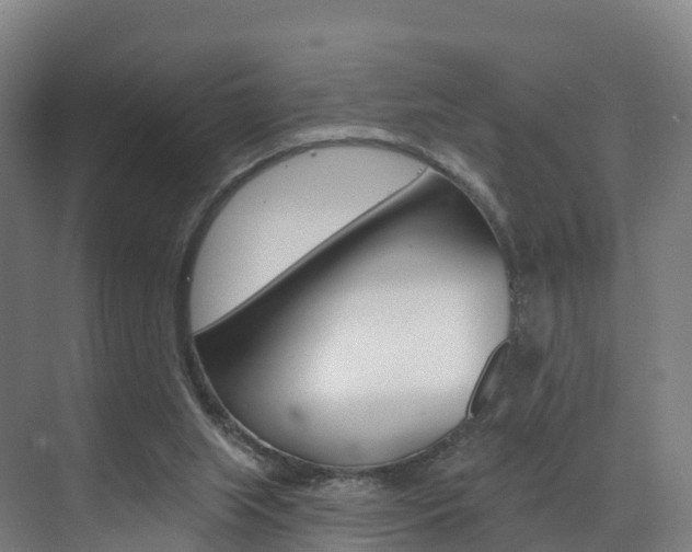 X0000072970063200607211041