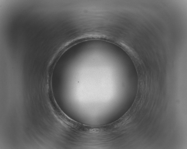 X0000072970064200607211041