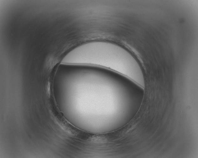X0000072970067200607211041