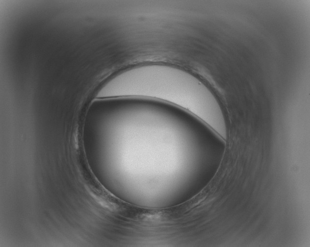 X0000072970068200607211041