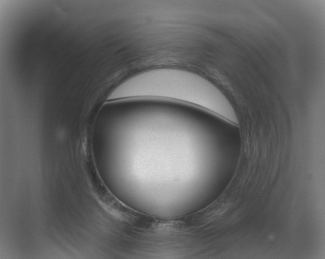 X0000072970072200607211041