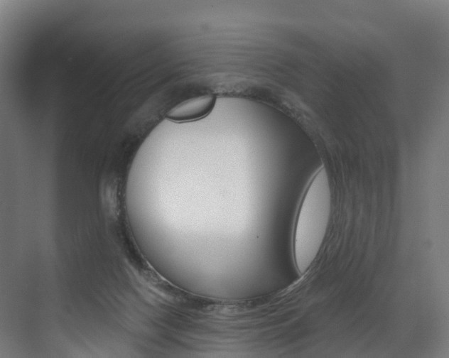 X0000072970074200607211041