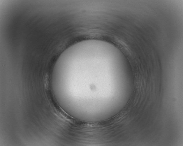 X0000072970077200607211041