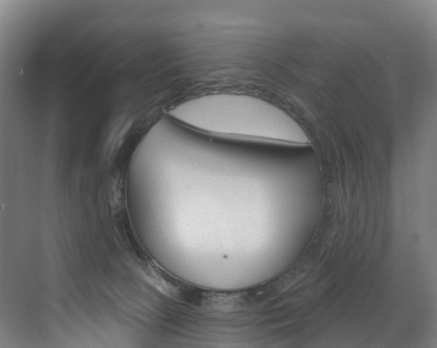 X0000072970081200607211041